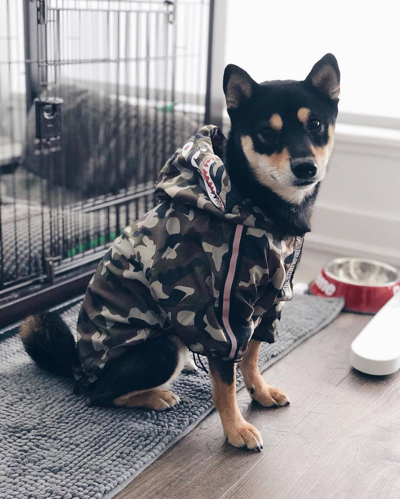 THE BARKING MILITARY WINDBREAKER