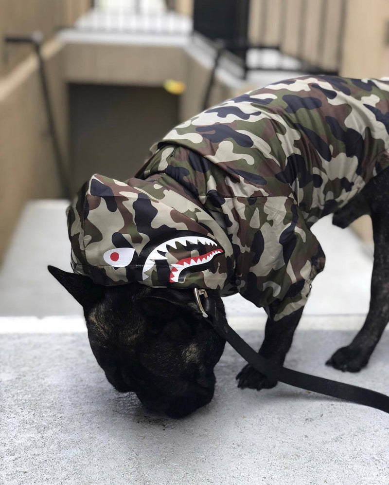 THE BARKING MILITARY WINDBREAKER