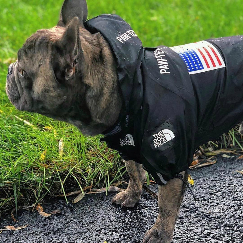 THE DOG FACE WINDBREAKER