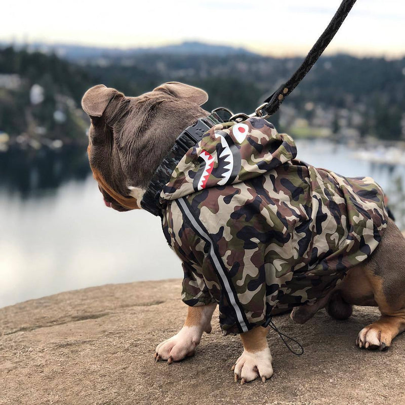 THE BARKING MILITARY WINDBREAKER