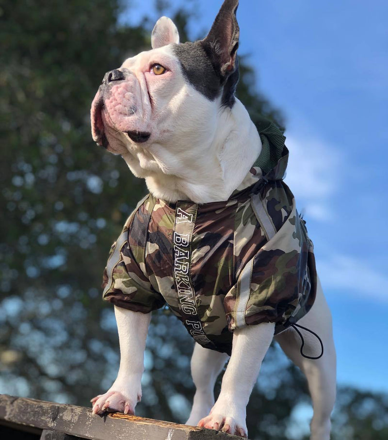 THE BARKING MILITARY WINDBREAKER