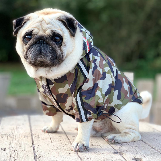 THE BARKING MILITARY WINDBREAKER